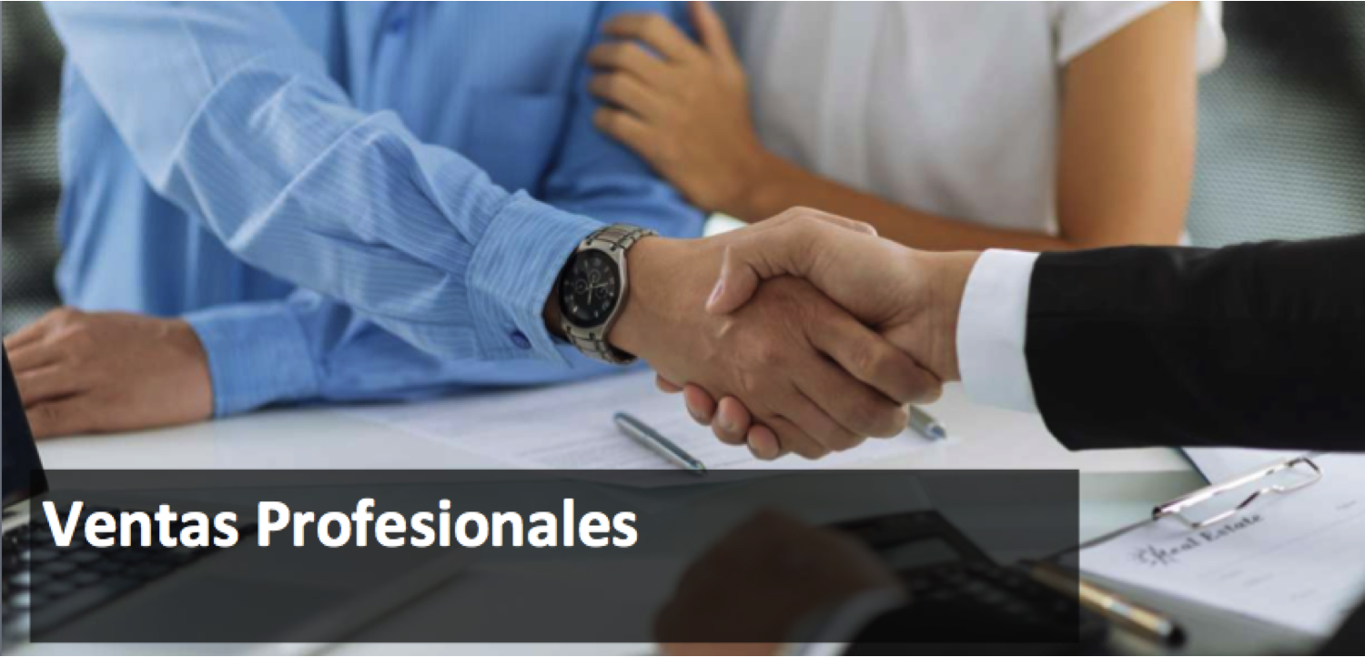 Gestión de Ventas Profesionales 